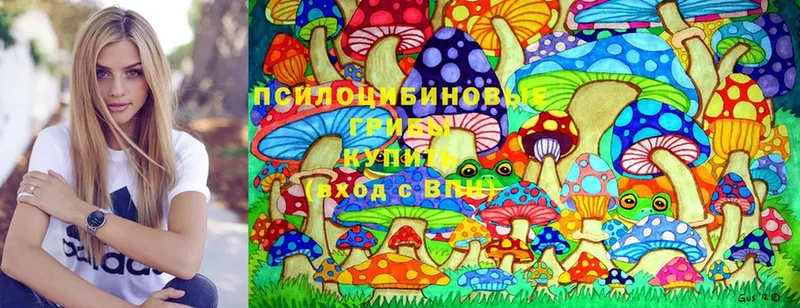 блэк спрут ссылки  Инсар  Галлюциногенные грибы Cubensis 